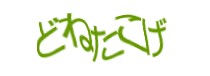 Authentication image